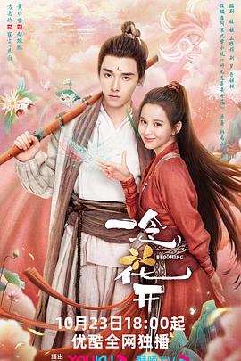 网络优化师自学网站