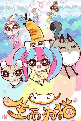 上海口碑好的seo优化价格多少